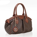 Leather Accents Daily Tote Handbag (brown)