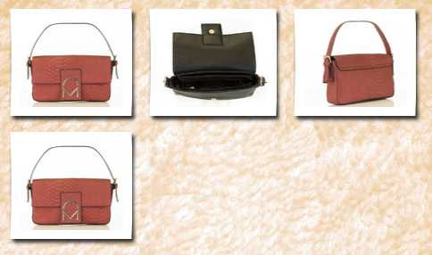Noble Mount bewitched baguette handbag snake metallic red