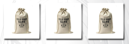 Forum money bag